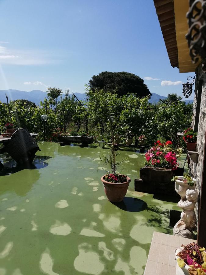 Pietramiliare Apartment Trecase Exterior foto